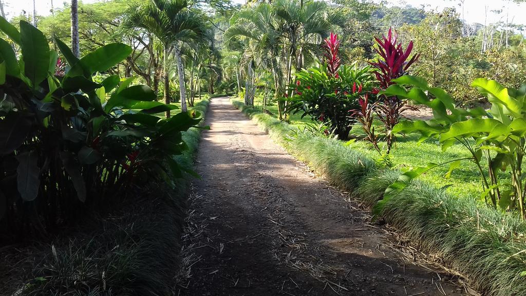 Cerro Chato Ecolodge La Fortuna Exterior foto