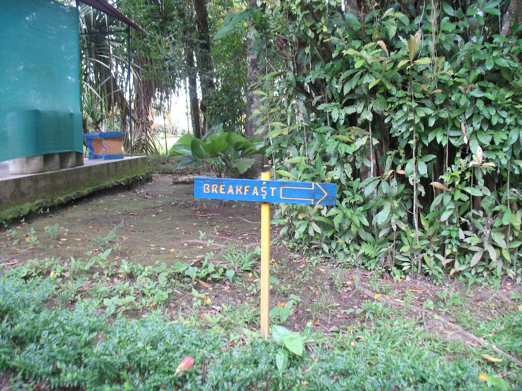 Cerro Chato Ecolodge La Fortuna Exterior foto